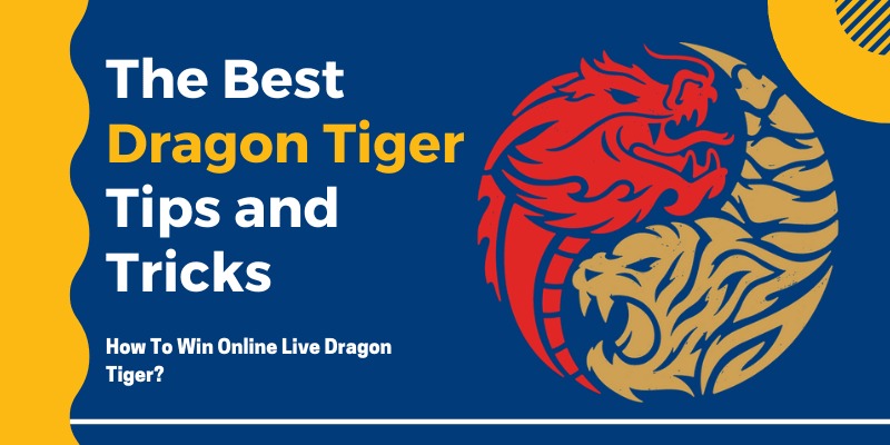 dragon tiger tips