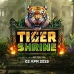 You won't regret choosing jili asia online casino