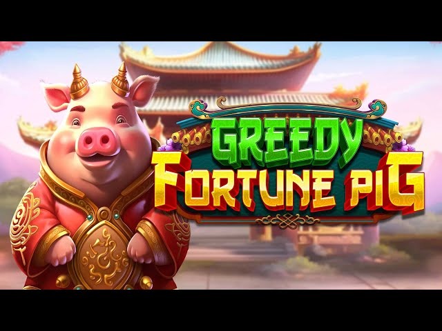 Greedy Fortune Pig